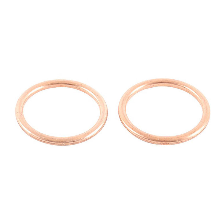 Exhaust Gasket Kit 823018