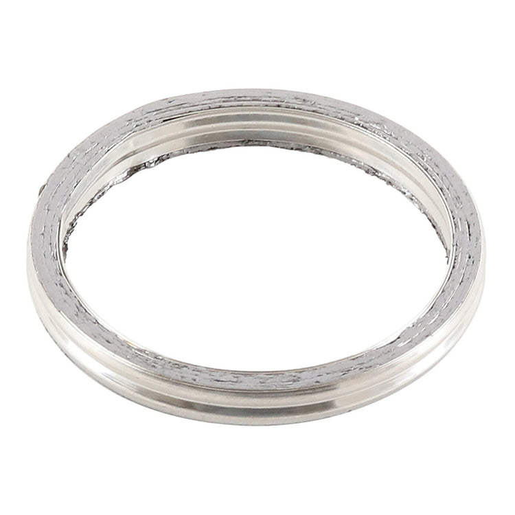 Exhaust Gasket Kit 823070