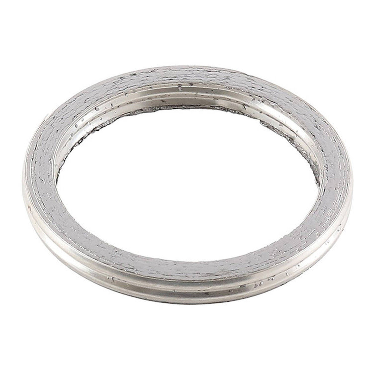 Exhaust Gasket Kit 823076