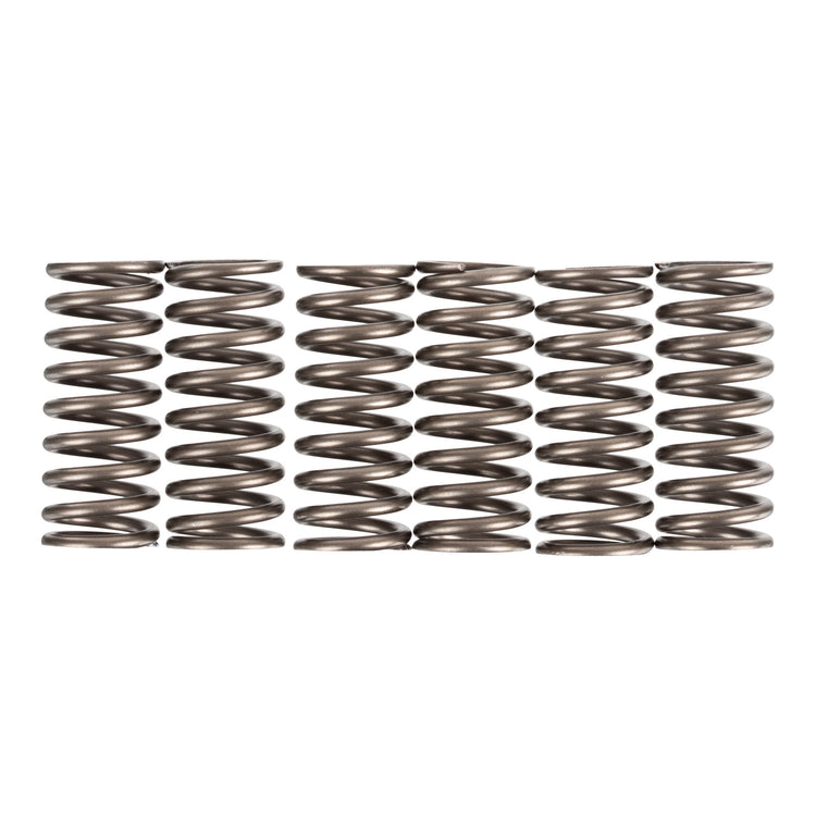 Premier Clutch Springs - Heavy Duty