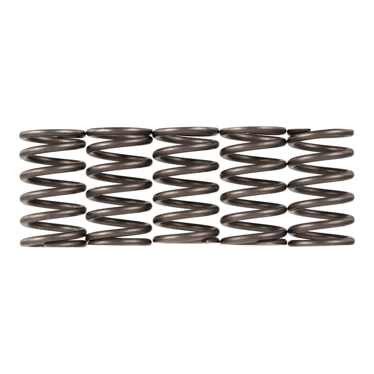 Premier Clutch Springs - Heavy Duty