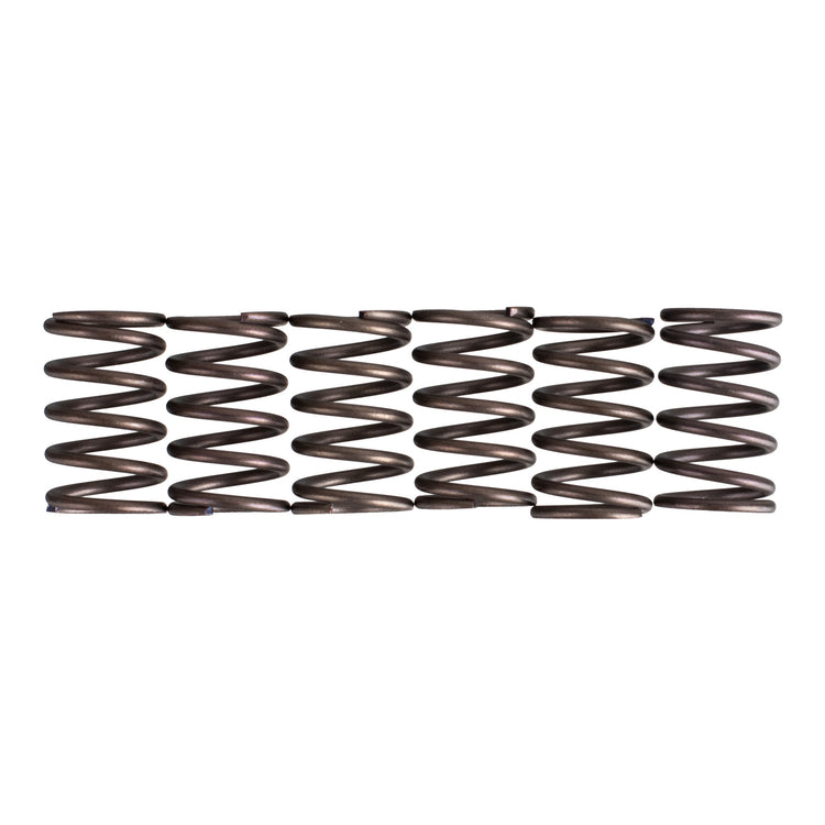 Premier Clutch Springs - Heavy Duty