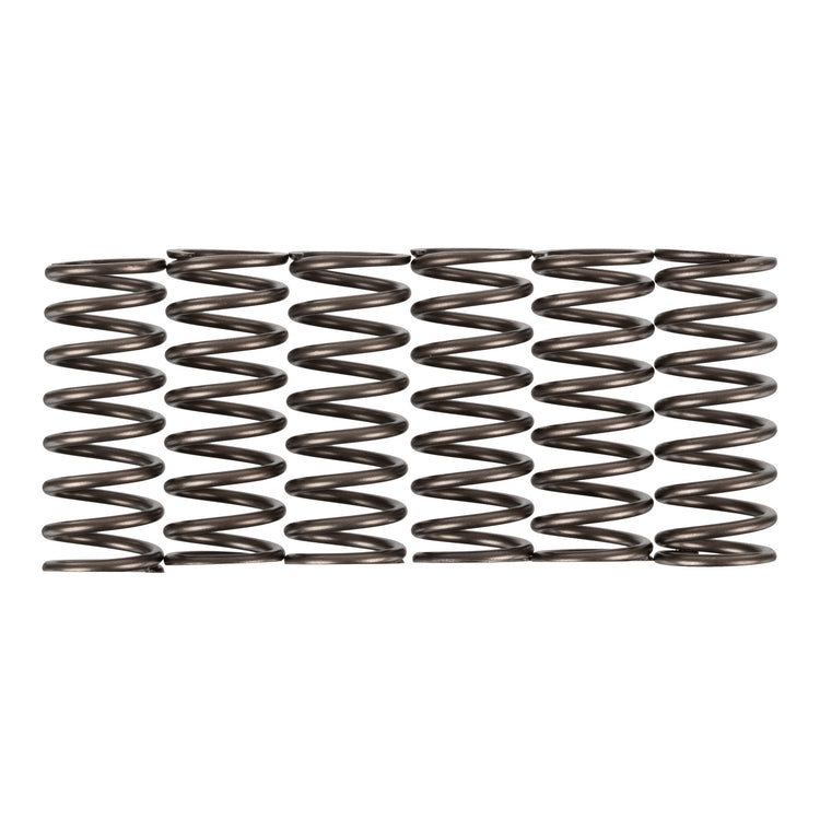Premier Clutch Springs - Heavy Duty