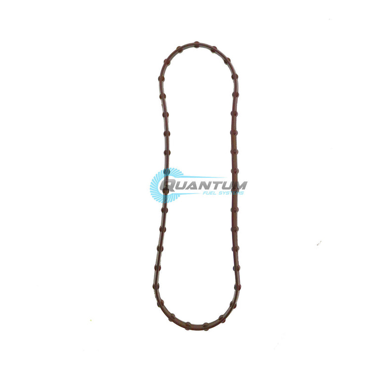 Quantum Fuel Pump Tank Seal Gasket