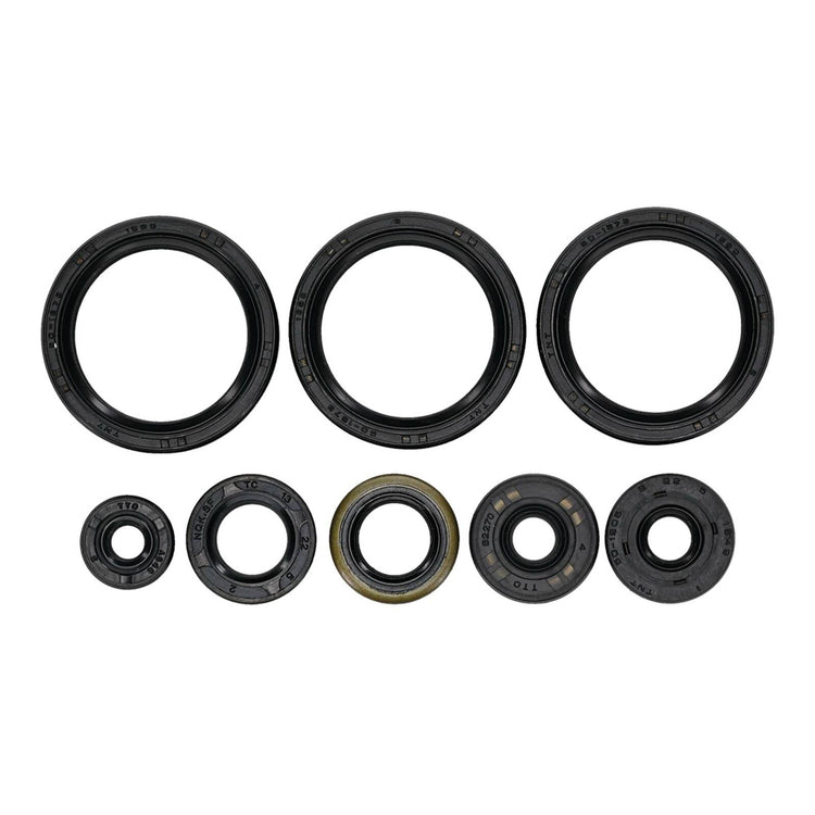Oil Seal Kit 822403