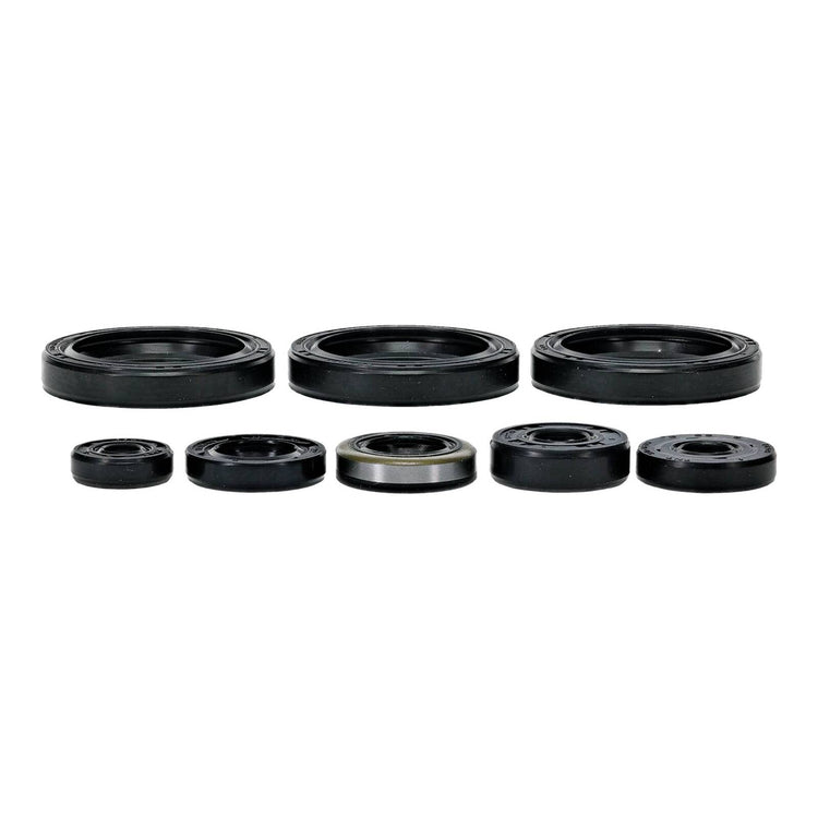 Oil Seal Kit 822403