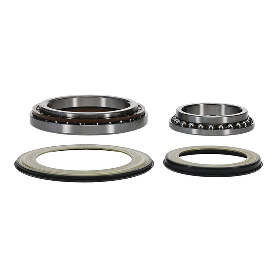 Steering Head Bearing & Seal Kit 22-1079