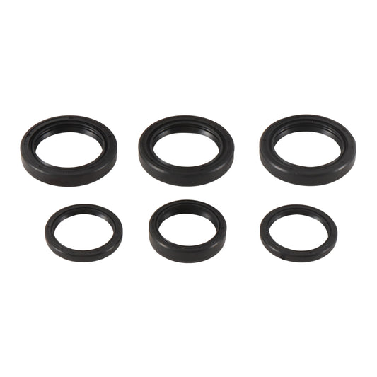 Differential Seal Kit – 25-2065-5