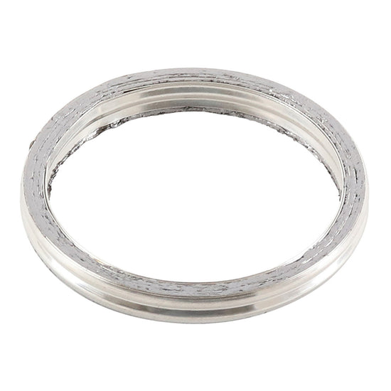 Exhaust Gasket Kit 823070