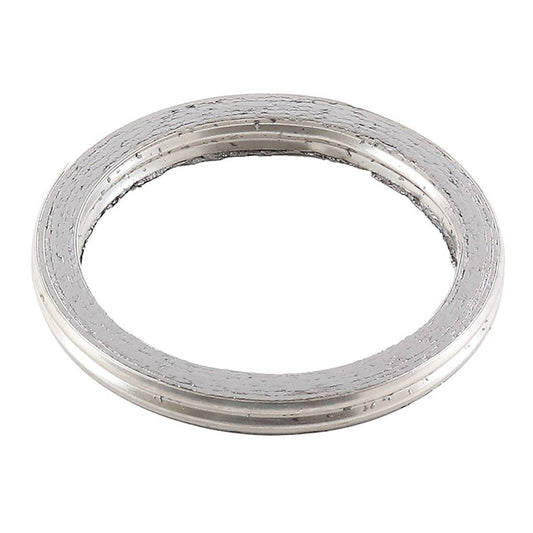 Exhaust Gasket Kit 823076
