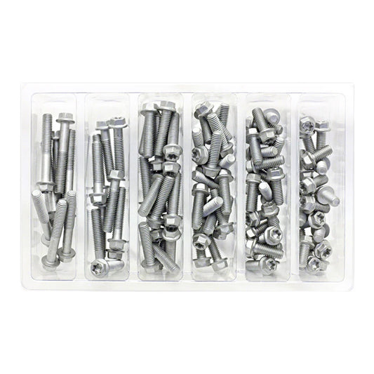 Bolt Workshop Service Kit: M6 Euro Torx Bolt