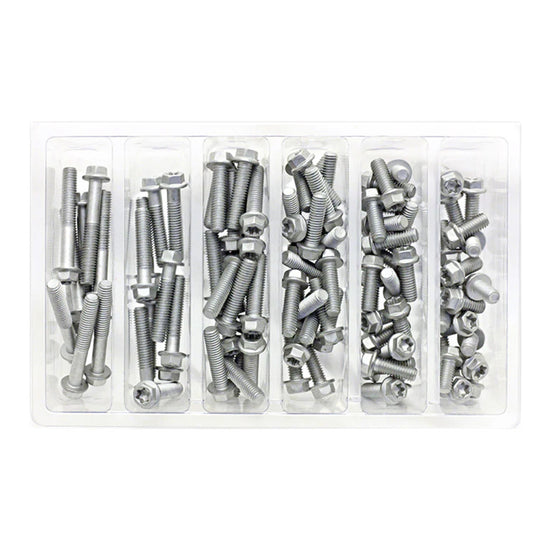 Bolt Workshop Service Kit: M6 Euro Torx Bolt