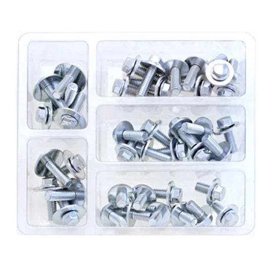 Bolt Workshop Service Kit: M6 Hex Flange Bolt / Washer