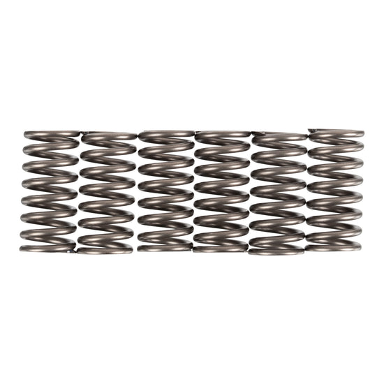 Premier Clutch Springs - Heavy Duty
