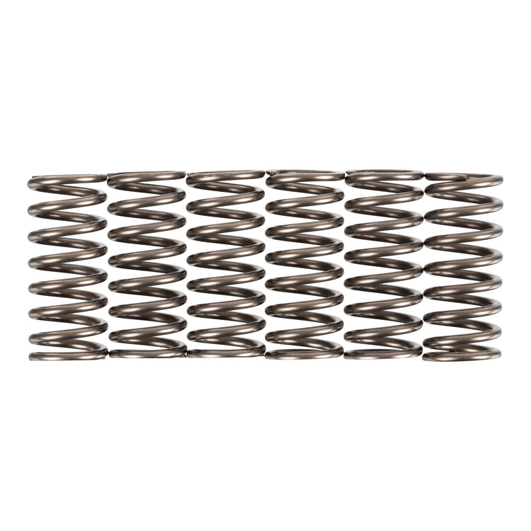 Premier Clutch Springs - Heavy Duty