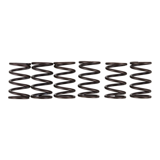 Premier Clutch Springs - Heavy Duty
