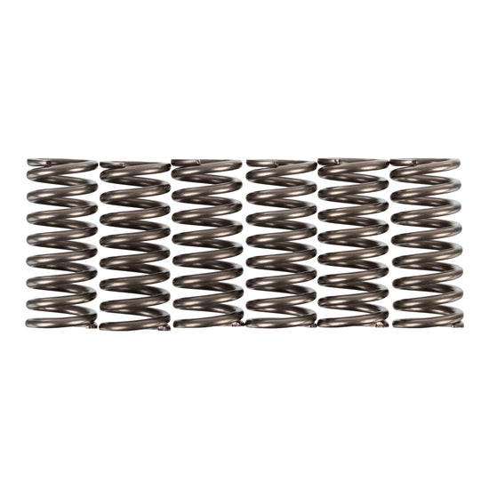 Premier Clutch Springs - Heavy Duty