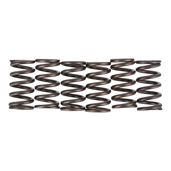 Premier Clutch Springs - Heavy Duty