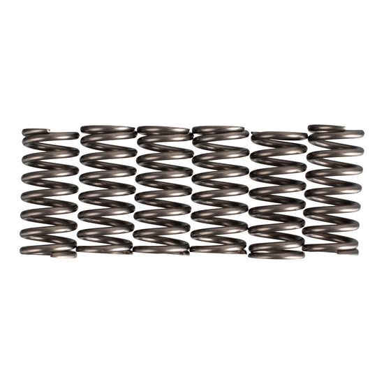 Premier Clutch Springs - Heavy Duty