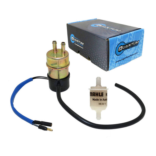 Quantum Frame-Mounted Electric Fuel Pump with Filter