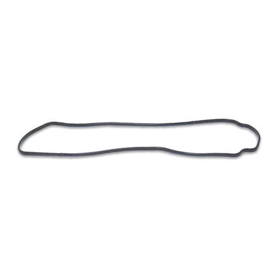 Quantum Fuel Pump Seal Gasket