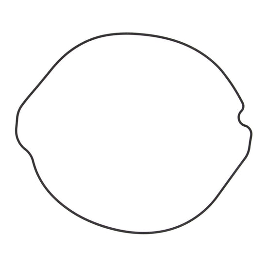 Outer Clutch Gasket Kit 817253
