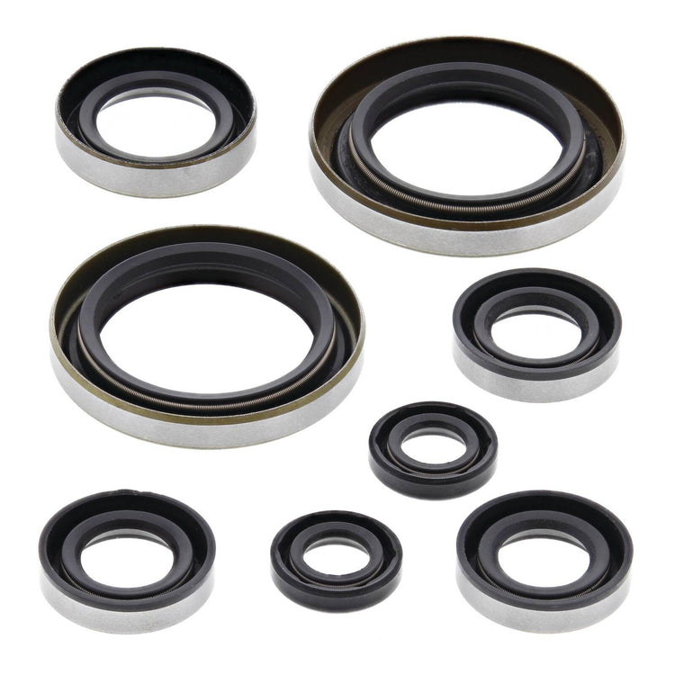 Oil Seal Kit 822274