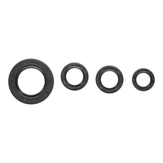 Oil Seal Kit 822395