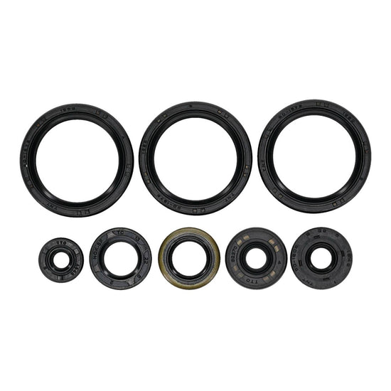 Oil Seal Kit 822403