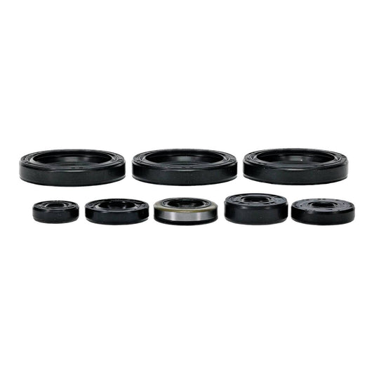Oil Seal Kit 822403
