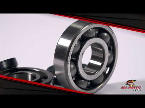 All Balls Racing Crankshaft Bearing Kit (24-1020)